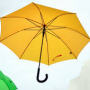 cisco-umbrella-app.png