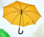 tips:cisco-umbrella-app.png